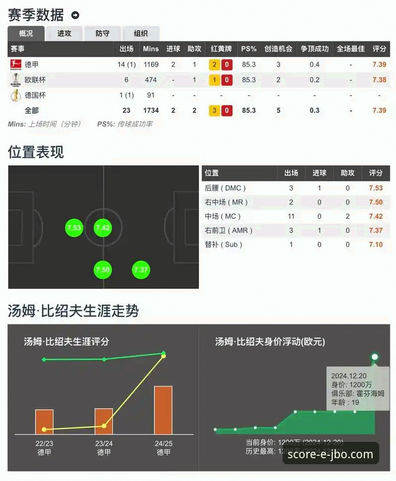 竞博体育平台：从实时比分查询到专业赛事分析的深度操作教程